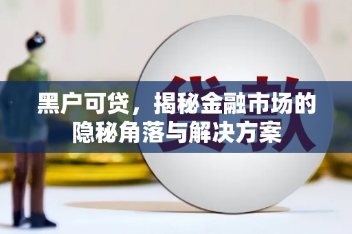 彭泽黑户可贷，揭秘金融市场的隐秘角落与解决方案