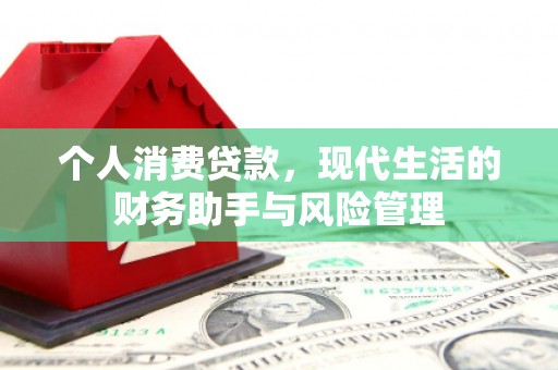 彭泽个人消费贷款，现代生活的财务助手与风险管理