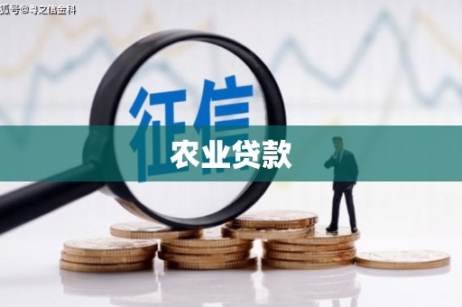 彭泽农业贷款