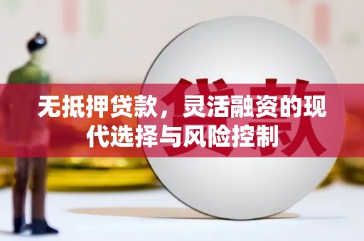 彭泽无抵押贷款，灵活融资的现代选择与风险控制
