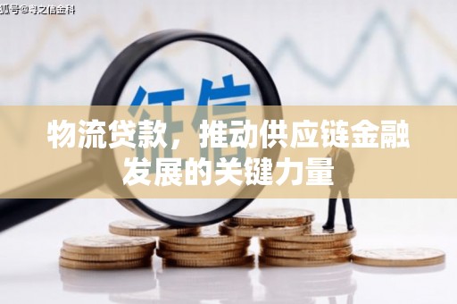 彭泽物流贷款，推动供应链金融发展的关键力量