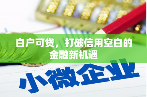 彭泽白户可贷，打破信用空白的金融新机遇