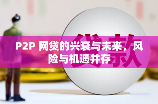 彭泽P2P 网贷的兴衰与未来，风险与机遇并存