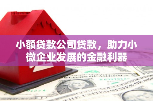 彭泽小额贷款公司贷款，助力小微企业发展的金融利器