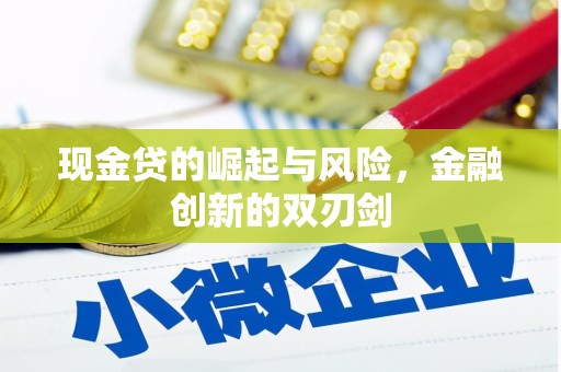 彭泽现金贷的崛起与风险，金融创新的双刃剑
