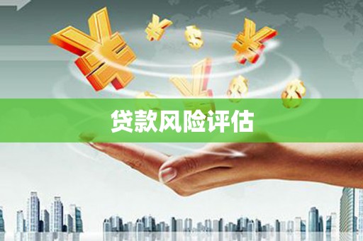 彭泽贷款风险评估