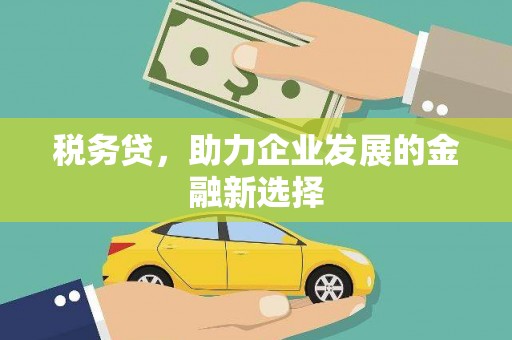 彭泽税务贷，助力企业发展的金融新选择
