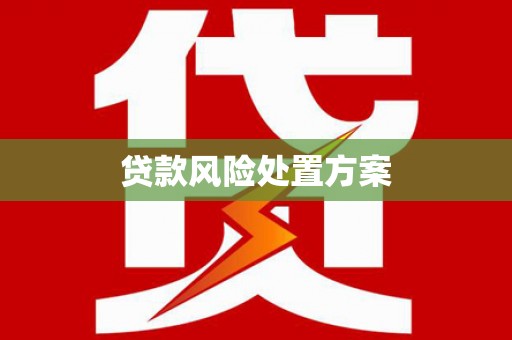 彭泽贷款风险处置方案