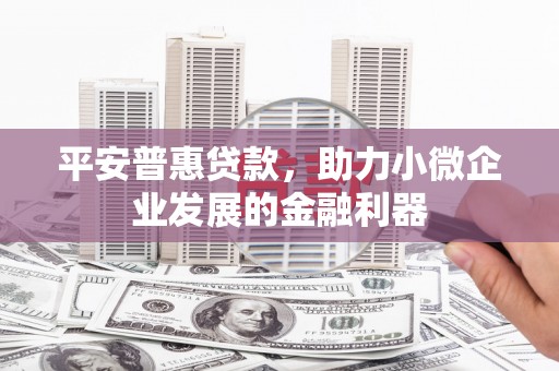 彭泽平安普惠贷款，助力小微企业发展的金融利器