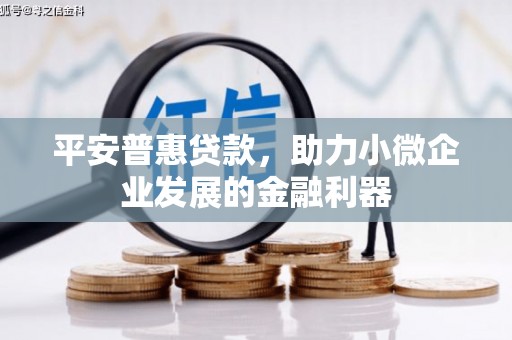 彭泽平安普惠贷款，助力小微企业发展的金融利器