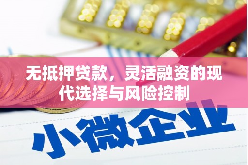 彭泽无抵押贷款，灵活融资的现代选择与风险控制