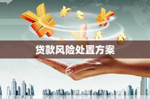 彭泽贷款风险处置方案