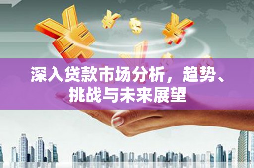 彭泽深入贷款市场分析，趋势、挑战与未来展望