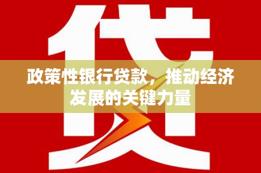 彭泽政策性银行贷款，推动经济发展的关键力量