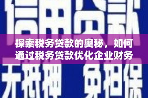 彭泽探索税务贷款的奥秘，如何通过税务贷款优化企业财务