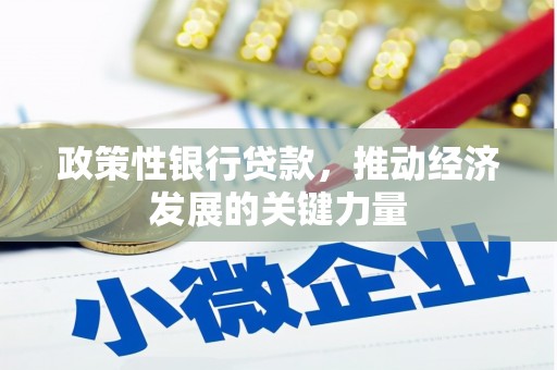 彭泽政策性银行贷款，推动经济发展的关键力量