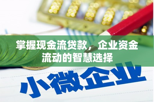彭泽掌握现金流贷款，企业资金流动的智慧选择