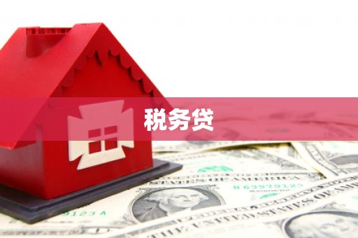 彭泽税务贷