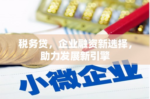 彭泽税务贷，企业融资新选择，助力发展新引擎