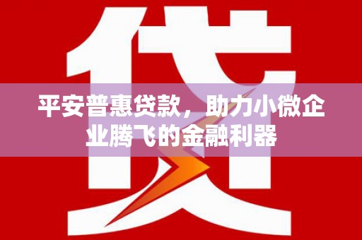 彭泽平安普惠贷款，助力小微企业腾飞的金融利器