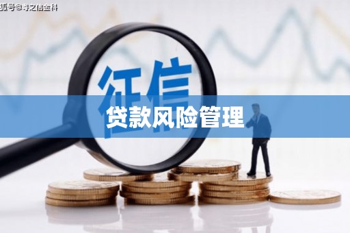 彭泽贷款风险管理
