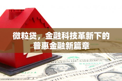彭泽微粒贷，金融科技革新下的普惠金融新篇章