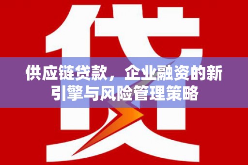 彭泽供应链贷款，企业融资的新引擎与风险管理策略