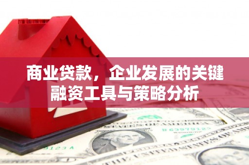 彭泽商业贷款，企业发展的关键融资工具与策略分析