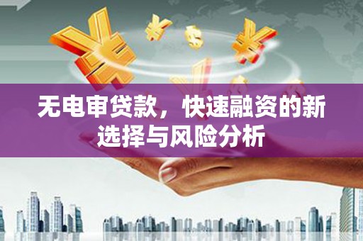 彭泽无电审贷款，快速融资的新选择与风险分析