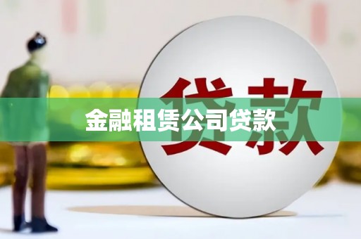 彭泽金融租赁公司贷款