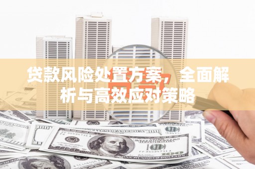 彭泽贷款风险处置方案，全面解析与高效应对策略