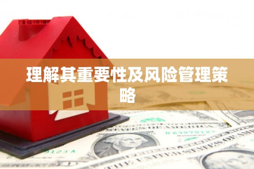 彭泽理解其重要性及风险管理策略