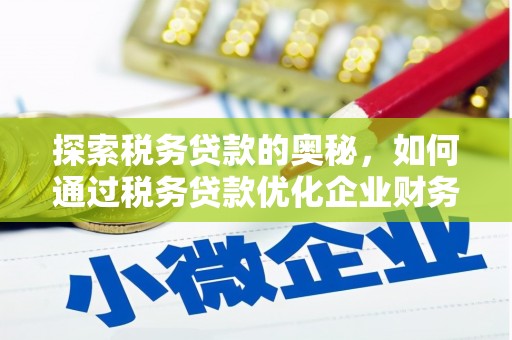 彭泽探索税务贷款的奥秘，如何通过税务贷款优化企业财务
