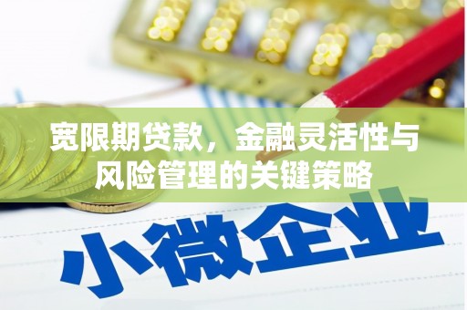 彭泽宽限期贷款，金融灵活性与风险管理的关键策略