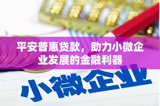 彭泽平安普惠贷款，助力小微企业发展的金融利器