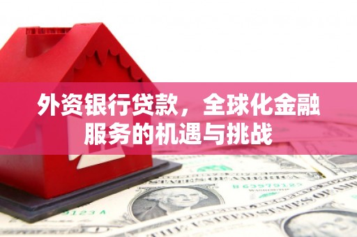 彭泽外资银行贷款，全球化金融服务的机遇与挑战