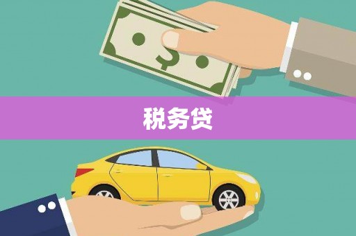 彭泽税务贷