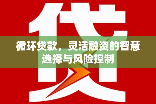 彭泽循环贷款，灵活融资的智慧选择与风险控制