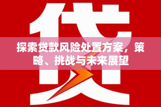 彭泽探索贷款风险处置方案，策略、挑战与未来展望