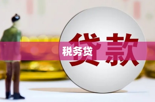 彭泽税务贷