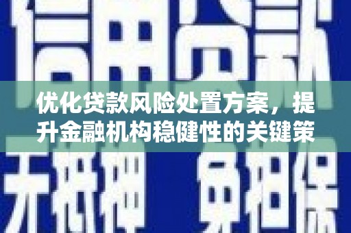 彭泽优化贷款风险处置方案，提升金融机构稳健性的关键策略