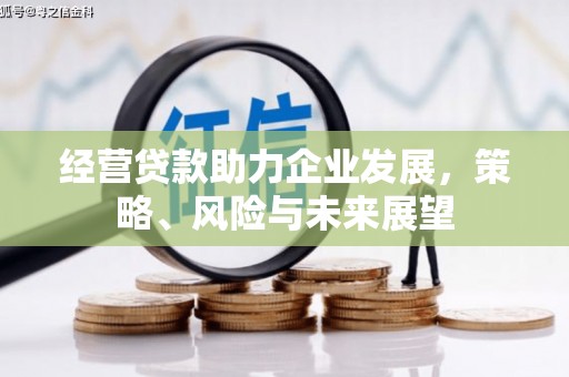 彭泽经营贷款助力企业发展，策略、风险与未来展望