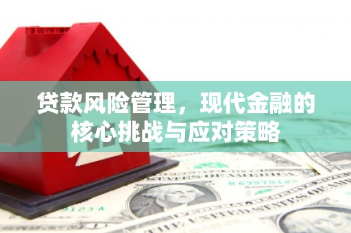 彭泽贷款风险管理，现代金融的核心挑战与应对策略