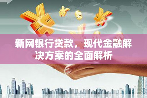 彭泽新网银行贷款，现代金融解决方案的全面解析