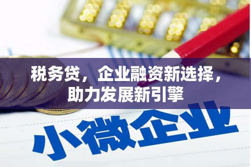 彭泽税务贷，企业融资新选择，助力发展新引擎