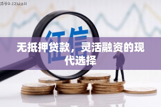彭泽无抵押贷款，灵活融资的现代选择
