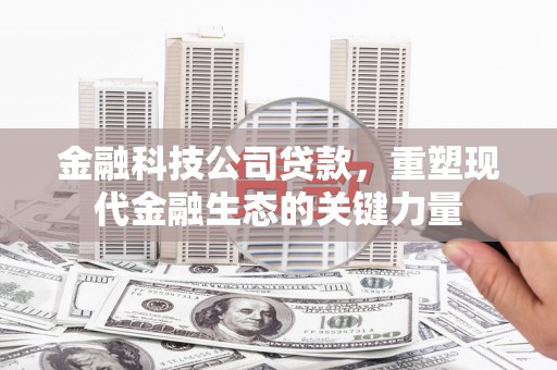 彭泽金融科技公司贷款，重塑现代金融生态的关键力量