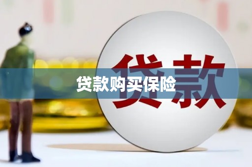彭泽贷款购买保险