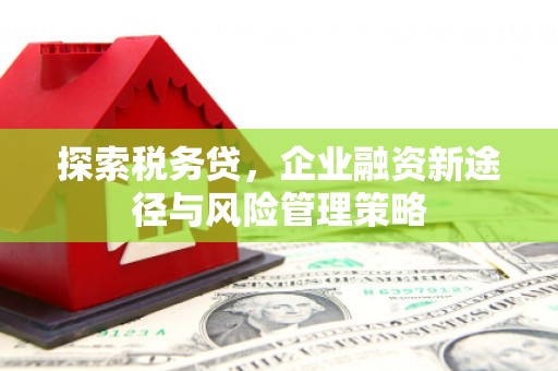 彭泽探索税务贷，企业融资新途径与风险管理策略