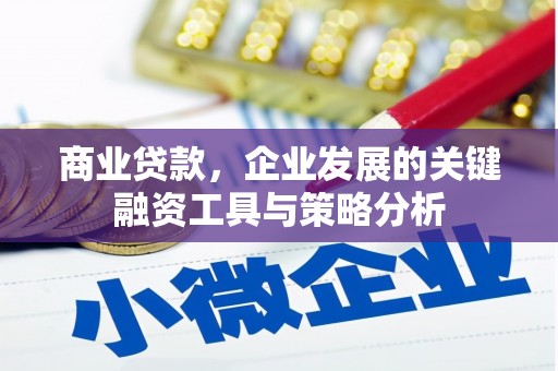 彭泽商业贷款，企业发展的关键融资工具与策略分析